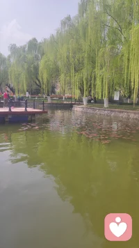 一切刚刚好配图