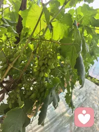 不过分担忧
只在意感同身受配图