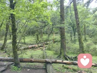 千金散尽还复来配图