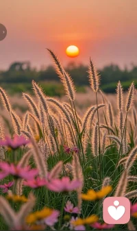 夕阳下，愿倾听你的喜怒哀乐配图