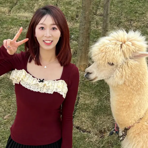 金牌小李倾听员