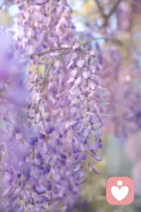 一切的关系不过都是缘起，缘深，缘浅，缘灭配图