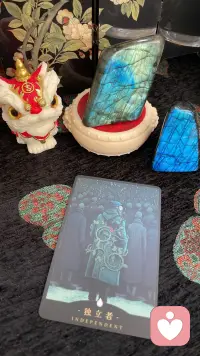 什么样的挫败，
也不能掩盖炙热内心里爬出的“藤蔓”。配图