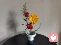 你不必羡慕别人花开的艳丽
因为你忽略掉了自己美的眼睛👀