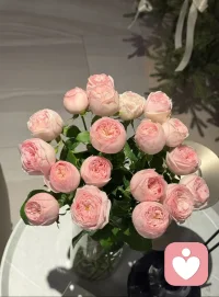 一孩子来问我
“​老师，我是不是抑郁症[疑问]”
“对不起，我不是心理咨询；
我是做心理疗愈，
只针对困扰解决问题！”
​配图