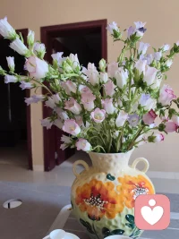 前几天我用了目标障碍穿越法
​为俩孩子做了一次关于理想大学的靠近
结束后，​俩孩子都表示从刚开始的迷茫
​到最后的笃定
​心态完全发生了变化
真心感叹疗愈的落地和可行性
[爱心][爱心]
​配图