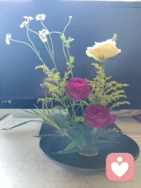 疗愈生活化
在中式插花中
回归自己的本心❤️配图