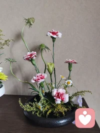 没曾想40多岁的年龄能能
60+、70+的姐姐们畅聊
​生命的宽度和深度
​