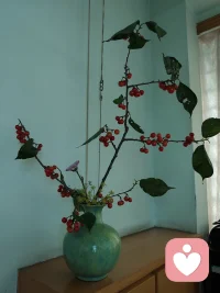 亲爱的们，早安
昨天去摘樱桃
顺带采了几根回来
发挥了好久，
终于有了第一个樱桃作品诞生[愉快][愉快]
打开美丽心情第一步