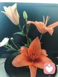 生活再忙
​也记得要和自己的心在一起
​早安[爱心]
