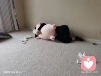 为生命鼓掌
困于出生之伤的姐姐
在53岁生日这天
从外地赶过来
做完生命的疗愈
按下重启生命的确认键[666][666][666]