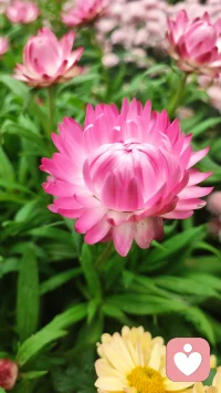 以传统文化为基，倾听“亲”的心声，共情、同情，给予“亲”温暖的力量。用八字解读“亲”一生的趋势，潮张潮落的时间节点，顺应而为，平静的面对。用六爻解析当下困境，一事一断：
工作不顺，啥时发大财
感情迷茫，何时来正缘
老人身体，怎样才健康
儿女学习，能否考得上
😊有问必答，欢迎欢迎😊配图