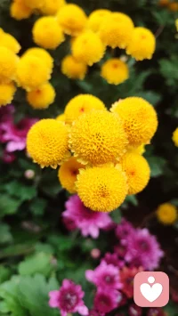 以传统文化为基，倾听“亲”的心声，共情、同情，给予“亲”温暖的力量。用八字解读“亲”一生的趋势，潮张潮落的时间节点，顺应而为，平静的面对。用六爻解析当下困境，一事一断：
工作不顺，啥时发大财
感情迷茫，何时来正缘
老人身体，怎样才健康
儿女学习，能否考得上
😊有问必答，欢迎欢迎😊配图