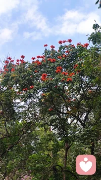 用传统文化八字六爻解读婚姻感情、财运投资、健康用药、工作事业、升学考试、寻人寻物、择吉日。一篇篇日常工作，一个个人物故事，看人间万象。配图