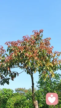 用传统文化八字六爻解读婚姻感情、财运投资、健康用药、工作事业、升学考试、寻人寻物、择吉日。一篇篇日常工作，一个个人物故事，看人间万象。配图