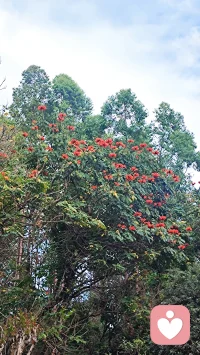 用传统文化八字六爻解读婚姻感情、财运投资、健康用药、工作事业、升学考试、寻人寻物、择吉日。一篇篇日常工作，一个个人物故事，看人间万象。配图