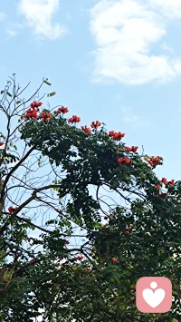 用传统文化八字六爻解读婚姻感情、财运投资、健康用药、工作事业、升学考试、寻人寻物、择吉日。一篇篇日常工作，一个个人物故事，看人间万象。配图