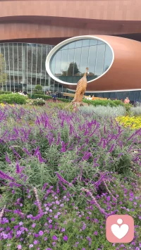 感受山花烂漫，让心情明媚起来。我在这里等你倾诉，吐尽心中酸甜苦辣，拨开心中阴霾迷雾，再苦再难都要站起来、跳出来，迎接阳光雨露。
亲爱的，春天来了，今年丙午火年，本是阳光明媚的日子，龌龊的、灰暗的、倒霉的事情都将清零，走出去，看这山花烂漫与你相映靓丽。配图