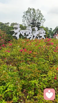 感受山花烂漫，让心情明媚起来。我在这里等你倾诉，吐尽心中酸甜苦辣，拨开心中阴霾迷雾，再苦再难都要站起来、跳出来，迎接阳光雨露。
亲爱的，春天来了，今年丙午火年，本是阳光明媚的日子，龌龊的、灰暗的、倒霉的事情都将清零，走出去，看这山花烂漫与你相映靓丽。配图