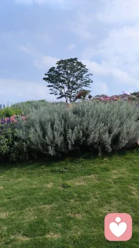 感受山花烂漫，让心情明媚起来。我在这里等你倾诉，吐尽心中酸甜苦辣，拨开心中阴霾迷雾，再苦再难都要站起来、跳出来，迎接阳光雨露。
亲爱的，春天来了，今年丙午火年，本是阳光明媚的日子，龌龊的、灰暗的、倒霉的事情都将清零，走出去，看这山花烂漫与你相映靓丽。配图