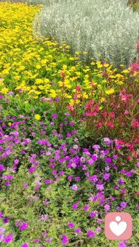 感受山花烂漫，让心情明媚起来。我在这里等你倾诉，吐尽心中酸甜苦辣，拨开心中阴霾迷雾，再苦再难都要站起来、跳出来，迎接阳光雨露。
亲爱的，春天来了，今年丙午火年，本是阳光明媚的日子，龌龊的、灰暗的、倒霉的事情都将清零，走出去，看这山花烂漫与你相映靓丽。配图