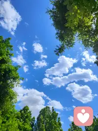 你对一个人太执着，往往不是因为对方太好，而是内心太孤独。当你看不清他哪里好却认定非他不可，这不是爱得深，而是投射太满。孤独太久的人容易替对方镀上光环，把幻想当真相，把心动误读为宿命。真相是你迷恋的，其实是自己内心那个迟迟没被好好拥抱过的自己。与其抓住浮木当作岸，不如放过他，也放过在感情里一再低头的自己。毕竟不是每束照进裂缝的光都值得用整片天空交换，没人能夺走你的快乐，除非你始终站在雨里不肯撑伞。配图