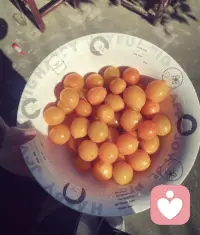 好好生活 开心常驻配图