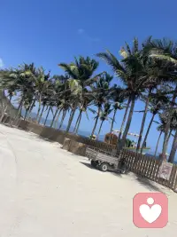 需要心灵陪伴，请滴滴我，让您开心快乐配图