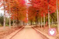 我来到给力平台半个月有余，此时此刻我的心情，是语言可无法比拟的，通过这半个月的学习努力，更多的了解了平台的仁义化，还有客服的团队的帮扶暖心精神，与付出精神，让我深深感动，才能造就我的梦想即将开始成为一名倾听者，感谢平台为我们五十加素人提供的学习与成长机会，与时俱进，不会被科技社会所淘汰，可以发挥夕阳光与热，体现出夕阳好无限而且不是近黄昏，而是新的起点，开启新的里程碑。