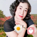 暖心知音的头像