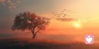  世间的温柔与浪漫，记得给妈妈留一份。我是倾听师，愿做你情绪的港湾，也愿每一位母亲，被时光温柔以待，节日快乐。
倾听师‖情绪树洞‖暖心陪伴‖配图