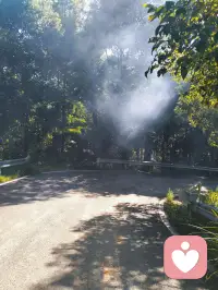 看不到美好，是因为你没有坚持走下去，人生贵在行动，迟疑不决时，不妨先迈出一小步，每天都要做最棒的自己。早安！配图