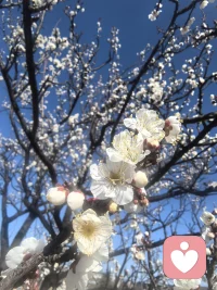 阳光会照进每一个清晨
放下你的焦虑，早☀配图