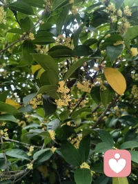 心灵的成长，是一场无声的蜕变，在日积月累的觉察与选择中，我们终将遇见更辽阔的自己。配图