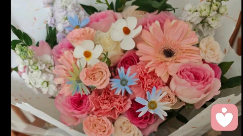 允许别人做别人，允许自己做自己