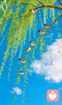 春季情绪流感：别硬扛，这4个方法帮你稳住心态
 
春天万物复苏，很多人却莫名烦躁、疲惫、低落、易怒，这就是春季情绪流感，不是矫情，是生理与心理的双重波动。
 
一、为什么春天更容易情绪不稳？
 
- 光照与气温骤变，打乱血清素、褪黑素平衡，情绪调节力下降
- 气压波动引发胸闷、失眠等躯体不适，放大焦虑
- 年度计划压力叠加，容易自我否定、陷入内耗
 
二、4个实用心理调节法，当天见效
 
1. 478呼吸稳情绪
吸气4秒→屏息7秒→呼气8秒，循环3-5次，快速平复烦躁与心慌。
2. 情绪命名法止内耗
说出“我现在是焦虑/委屈”，被看见的情绪，强度会立刻下降。
3. 微行动破低落
每天20分钟快走、晒太阳，促进多巴胺分泌，比空想更治愈。
4. 设立心理边界
少刷对比型社交内容，不强迫自己“必须积极”，允许偶尔低落。
 
三、这些信号，建议寻求专业帮助
 
- 连续两周以上失眠、食欲骤变
- 对任何事提不起兴趣，自我价值感极低
- 频繁心慌、头痛，躯体检查无明显异常
 
情绪没有对错，春天的敏感是身心在提醒你：慢一点，善待自己。真正的强大，是懂得照顾情绪，而非硬撑。
 
如果情绪困扰难以自行缓解，希望我可以帮助你，我陪你一起梳理、疗愈，找回平稳与松弛。