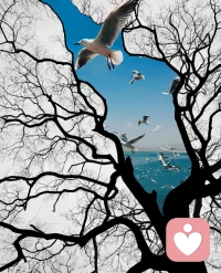 完美主义不是优秀，是困住你的枷锁
 
你是不是总对自己说：“再完美一点就好了”？
项目差一点就焦虑到失眠，文案改了十遍还不满意，连生活里的小事都容不得半点差错。你以为这是对自己负责，其实是被完美主义套上了无形的枷锁 。
 
一、完美主义，不是追求卓越，是自我攻击
 
在咨询室里，我见过太多被它困住的来访者：
 
- 明明已经拼尽全力，却总盯着那1%的不完美，否定全部努力
- 害怕犯错、害怕被评价，不敢尝试新事物，把自己困在安全区
- 用“必须完美”绑架自己，也绑架身边人，关系越来越紧绷
 
完美主义的本质，是用外在标准定义自我价值——你相信“只有做到完美，我才值得被爱、被认可”。这背后，往往藏着童年的高期待、未被看见的不安全感，或是对“不够好”的深层恐惧 。
 
二、3个方法，帮你和“不完美”和解
 
1️⃣ 把“必须完美”换成“做到80分就很好”
 
接纳“不完美是常态”：项目不用零瑕疵，核心功能到位就是成功；文案不用字字珠玑，清晰传递价值就够了。
80分，是高效与平衡的起点，留20分给生活、给家人、给喘息的空间 。
 
2️⃣ 允许“犯错”，把失误当成长素材
 
每一次小失误，都是一次数据反馈：
 
- 这次没做好，不是你不行，是方法可以优化
- 允许自己试错，你才敢大步往前走，而不是在原地内耗
 
3️⃣ 区分“努力”和“自我攻击”
 
努力是：我想做得更好，我会调整方法。
自我攻击是：我怎么这么差，我永远做不好。
对自己温柔一点：你已经很努力了，值得被自己善待。
 
三、心理成长，从来不是成为完美的人
 
给力心理一直相信：真正的强大，是接纳不完美的自己 。
你不必事事圆满，不必人人满意。你可以有缺点、可以犯错、可以偶尔“摆烂”。
当你放下对完美的执念，你会发现：
生活不是一场必须拿满分的考试，而是一场慢慢体验、慢慢成长的旅程。
 
寄语
 
如果你也被完美主义困住，经常焦虑、内耗、不敢放松，欢迎来给力心理找我聊聊。
我们一起拆解完美的枷锁，找到与自己、与生活相处的舒适节奏。
 
💡 小互动：你最近一次因为“不完美”而内耗，是什么时候？评论区说说，我来陪你一起看见它、放下它。配图