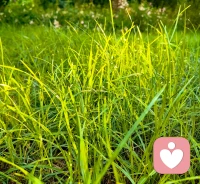 学会给情绪“留白”，是成年人最高级的心理自愈
 
很多人对心理健康的理解，还停留在“解决问题”：焦虑了就逼自己平静，难过了就劝自己想开，疲惫了就硬扛着坚持。可越是用力对抗情绪，内心越容易紧绷，反而陷入持续内耗。
 
真正成熟的心理状态，不是没有负面情绪，而是懂得和情绪温和相处。允许自己偶尔低落，允许事情暂时没有答案，允许生活不按计划进行，这份“允许”，就是给情绪留白。
 
一、为什么我们总活得那么紧绷？
 
一是习惯了高标准要求自己，事事追求完美，一点差错就自我否定；
二是总在意他人看法，把别人的期待当成自己的责任，不敢放松、不敢示弱；
三是把忙碌等同于充实，一旦停下来，就会感到空虚和焦虑。
 
长期紧绷的结果，是身心俱疲：睡眠变差、注意力下降、情绪易怒，甚至影响身体状态。
 
二、给情绪留白，不是摆烂，是自我修复
 
情绪留白，是在忙碌中留一点独处时间，不刷手机、不处理琐事，只是安静待着；
是遇到烦心事时，不立刻逼自己消化，允许自己难过一会儿；
是不再强迫自己迎合所有人，学会拒绝不合理的要求，守住自己的边界。
 
当你不再对抗情绪，情绪反而会慢慢流动、消散。内心松下来，思路才会清晰，生活也会跟着顺畅。
 
三、日常3个小练习，轻松给情绪留白
 
1. 每天10分钟“无目的独处”，喝茶、发呆、散步都可以
2. 情绪上来时，先深呼吸3次，不做判断、不做决定
3. 睡前不复盘烦恼，只回顾当天一件微小的美好小事
 
心理健康，从来不是强行快乐，而是接纳真实的自己。
学会留白，放下紧绷，内心自会安稳从容。配图