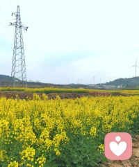 清明丨慎终追远，在思念里疗愈心灵
 
清明时节，春雨淅沥，草木萌发。这个承载着思念与生机的节日，既是我们祭扫先人、缅怀逝者的时刻，也是直面哀伤、安抚心灵的契机。从心理学角度来看，清明从来不是单纯的祭祀，而是一场温柔的情绪安放，帮我们与过往和解，在思念中汲取前行的力量。

 
面对离别，很多人会刻意压抑悲伤，觉得沉溺思念是脆弱的表现。但心理学认为，哀伤是对爱与牵挂的正常回应，压抑反而会让情绪积压，影响心理状态。清明的祭祀仪式，其实是最好的情绪出口：擦拭墓碑、献上一束花、轻声说几句心里话，都是在坦然释放思念与不舍。不必强迫自己坚强，允许自己流泪、怀念，才是疗愈的开始。
 
我们也常会陷入遗憾的情绪中，想着“如果当初多陪伴一点”，这份自责会加重心理负担。其实，逝者留给我们的温暖回忆、生活教诲，都是他们存在过的证明。与其沉浸遗憾，不如把思念转化为力量，带着他们的期许好好生活，这才是对离别最好的回应。告别不是遗忘，而是换一种方式，让爱留在心底相伴。
 
清明既有哀思，也有新生。古人说“清明踏青”，正是让我们走出室内，感受春风草木的生机，用自然的活力驱散心底的阴霾。如果思念让你感到压抑，不妨趁着春光出门走走，看看抽芽的柳枝、盛开的春花，感受生命的蓬勃，心境也会随之开阔。
 
这个清明，给力心理愿你：坦然接纳情绪，不压抑悲伤，也不困于过往。在追思中安放思念，在春光中治愈自己，带着心底的爱与温暖，从容走向往后的日子。
 
思念有声，心灵有归，愿每一份怀念都有安放之处，每一颗心灵都能被温柔治愈。