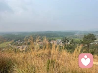 清明丨慎终追远，在思念里疗愈心灵
 
清明时节，春雨淅沥，草木萌发。这个承载着思念与生机的节日，既是我们祭扫先人、缅怀逝者的时刻，也是直面哀伤、安抚心灵的契机。从心理学角度来看，清明从来不是单纯的祭祀，而是一场温柔的情绪安放，帮我们与过往和解，在思念中汲取前行的力量。

 
面对离别，很多人会刻意压抑悲伤，觉得沉溺思念是脆弱的表现。但心理学认为，哀伤是对爱与牵挂的正常回应，压抑反而会让情绪积压，影响心理状态。清明的祭祀仪式，其实是最好的情绪出口：擦拭墓碑、献上一束花、轻声说几句心里话，都是在坦然释放思念与不舍。不必强迫自己坚强，允许自己流泪、怀念，才是疗愈的开始。
 
我们也常会陷入遗憾的情绪中，想着“如果当初多陪伴一点”，这份自责会加重心理负担。其实，逝者留给我们的温暖回忆、生活教诲，都是他们存在过的证明。与其沉浸遗憾，不如把思念转化为力量，带着他们的期许好好生活，这才是对离别最好的回应。告别不是遗忘，而是换一种方式，让爱留在心底相伴。
 
清明既有哀思，也有新生。古人说“清明踏青”，正是让我们走出室内，感受春风草木的生机，用自然的活力驱散心底的阴霾。如果思念让你感到压抑，不妨趁着春光出门走走，看看抽芽的柳枝、盛开的春花，感受生命的蓬勃，心境也会随之开阔。
 
这个清明，给力心理愿你：坦然接纳情绪，不压抑悲伤，也不困于过往。在追思中安放思念，在春光中治愈自己，带着心底的爱与温暖，从容走向往后的日子。
 
思念有声，心灵有归，愿每一份怀念都有安放之处，每一颗心灵都能被温柔治愈。