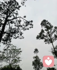 清明丨慎终追远，在思念里疗愈心灵
 
清明时节，春雨淅沥，草木萌发。这个承载着思念与生机的节日，既是我们祭扫先人、缅怀逝者的时刻，也是直面哀伤、安抚心灵的契机。从心理学角度来看，清明从来不是单纯的祭祀，而是一场温柔的情绪安放，帮我们与过往和解，在思念中汲取前行的力量。

 
面对离别，很多人会刻意压抑悲伤，觉得沉溺思念是脆弱的表现。但心理学认为，哀伤是对爱与牵挂的正常回应，压抑反而会让情绪积压，影响心理状态。清明的祭祀仪式，其实是最好的情绪出口：擦拭墓碑、献上一束花、轻声说几句心里话，都是在坦然释放思念与不舍。不必强迫自己坚强，允许自己流泪、怀念，才是疗愈的开始。
 
我们也常会陷入遗憾的情绪中，想着“如果当初多陪伴一点”，这份自责会加重心理负担。其实，逝者留给我们的温暖回忆、生活教诲，都是他们存在过的证明。与其沉浸遗憾，不如把思念转化为力量，带着他们的期许好好生活，这才是对离别最好的回应。告别不是遗忘，而是换一种方式，让爱留在心底相伴。
 
清明既有哀思，也有新生。古人说“清明踏青”，正是让我们走出室内，感受春风草木的生机，用自然的活力驱散心底的阴霾。如果思念让你感到压抑，不妨趁着春光出门走走，看看抽芽的柳枝、盛开的春花，感受生命的蓬勃，心境也会随之开阔。
 
这个清明，给力心理愿你：坦然接纳情绪，不压抑悲伤，也不困于过往。在追思中安放思念，在春光中治愈自己，带着心底的爱与温暖，从容走向往后的日子。
 
思念有声，心灵有归，愿每一份怀念都有安放之处，每一颗心灵都能被温柔治愈。