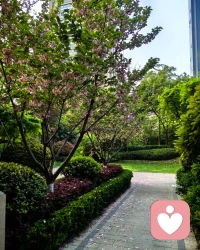 我们不能像机器一样“立刻修复”！

 
现代人总被要求“快速振作”“立刻开心”，可心灵从不是机器，没法一键修复。很多时候，我们越强迫自己摆脱焦虑、悲伤，反而越陷越深。真正的疗愈，从来不是强行压制情绪，而是尊重节奏、接纳脆弱，在温柔里慢慢重建自己。
 
很多人以为，心理疏导就是“听几句安慰、想通一件事”。其实不然。情绪的堆积像陈年旧伤，表面结痂，内里仍有淤堵。突然的“想开”，往往只是暂时压抑。深夜反复失眠、小事莫名烦躁、对未来持续无力，都是内心在提醒：你需要的不是速成的坚强，而是被看见、被允许、被温柔对待的过程。
 
心理学里有个重要概念：允许情绪流动。焦虑时不必逼自己“别想了”，难过时不用硬撑“我没事”。你可以承认“我现在很脆弱”“我需要一点时间”。当你不再对抗负面情绪，它反而会自然流动、消散。就像阴雨总会过去，阳光不是靠驱赶乌云而来，而是等待云层散开。
 
慢下来，不是放弃，而是积蓄力量。每天留10分钟给自己：静坐、深呼吸、写几句情绪日记，或只是发呆看窗外。不用追求“有效果”，只需要“被照顾”。这种微小的自我关怀，会在神经里慢慢建立新的稳定回路，让你在压力来临时，不再轻易崩溃。
 
很多人不敢求助，怕被说“矫情”，怕花钱、怕暴露隐私。其实，寻求心理支持，和感冒看医生一样正常，更是成熟与负责的表现。专业的倾听与陪伴，不是替你解决所有问题，而是帮你理清混乱、看见自己的力量，陪你走过最艰难的那段路。
 
在这个快节奏的时代，我们总被推着向前，却忘了心灵也需要喘息。真正的成长，不是永不跌倒，而是跌倒后，有勇气慢慢站起来；不是永远快乐，而是悲伤时也能好好拥抱自己。
 
愿你不再急着“立刻好起来”。允许自己慢一点、弱一点，允许疗愈像春天的草木，悄悄发芽、缓缓生长。慢慢来，你不必光芒万丈，但要始终温暖有光。每一次温柔对待自己，都是在为心灵注入力量；每一步微小的前行，都在靠近更稳定、更自在的自己。