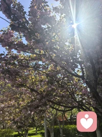 别让情绪内耗，拖垮你的人生
 
在心理咨询的日常工作中，我总能遇到这样的来访者：明明没做什么体力活，却总觉得身心俱疲；一件小事翻来覆去想很久，越想越焦虑；总是在意别人的眼光，反复纠结自己的言行；心里装满了烦心事，却找不到出口，只剩无尽的自我拉扯。
 
这就是典型的情绪内耗。
 
内耗从来不是外在的压力压垮了我们，而是自己和自己较劲，内心的两个声音不断对抗、纠结、否定，把所有的精力都消耗在自我博弈里。明明生活没有那么多难题，却因为过度思虑、自我怀疑、放不下过去、担忧未来，让自己陷入无尽的精神疲惫中。
 
很多人深陷内耗却不自知，总觉得是自己不够坚强，逼着自己硬扛，可越是压抑，内心的疲惫就越重。其实，情绪内耗不是性格缺陷，而是我们的内心在发出求救信号——它需要被看见、被接纳、被好好安抚。
 
想要停止内耗，从来不是靠强迫自己坚强，也不是靠一味地压抑情绪，而是学会和自己的内心对话，放下那些不必要的执念。
 
首先，学会接纳自己的负面情绪。难过、焦虑、迷茫、犹豫，这些从来都不是负面的东西，而是人之常情。不必因为自己有坏情绪就自责，更不必逼着自己时刻保持乐观，允许自己有情绪波动，允许自己偶尔脆弱，才是与自己和解的第一步。
 
其次，停止过度思虑，把注意力拉回当下。很多烦恼，都是想出来的。一件还没发生的事，被脑补出无数糟糕的结果；一句别人无心的话，被反复揣摩出恶意；一段过去的遗憾，被不断翻出来折磨自己。与其在脑海里反复纠结，不如放下杂念，专注做好眼前的一件小事，行动，永远是停止内耗最好的解药。
 
最后，学会放过自己。不必追求事事圆满，不必在意所有人的评价，不必为无法改变的事耿耿于怀。人生本就没有十全十美，学会释怀，学会放下，学会对自己宽容一点，别用别人的标准绑架自己，别用过往的遗憾消耗现在的自己。
 
每个人的精力都是有限的，别把它浪费在自我内耗上。内心的平和，从来不是消除所有烦恼，而是学会与自己相处，不纠结、不执念、不自我为难。
 
从今天起，试着放下心里的包袱，停止自我拉扯，把精力留给热爱的事，留给值得的人，留给慢慢变好的自己。愿我们都能摆脱情绪内耗，活得轻松自在，内心有光，从容前行。