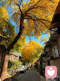 如果没有天赋，那就一直重复。
慢也好，步子小也好，只要是往前就好。