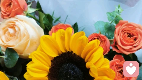 把情绪说出来，才是疗愈的开始