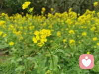 接纳情绪，不否定自己！
把期待收回来，好好照顾自己的感受！