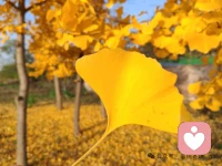 最好的养育环境是抱持性的，孩子发展好的时候，认可他；孩子受挫的时候，支持他[愉快]配图