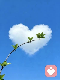 不要把昨天的遗憾，和明天的焦虑，放到今天品尝！配图