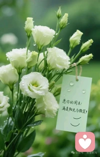 焦虑的根源，是想太多、做太少。脚踏实地行动起来，专注于目标、全力以赴，便没有时间内耗，焦虑也会自然而然消散。