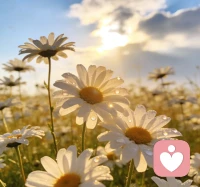 大自然的情绪疗愈作用：，
大自然是天然的情绪疗愈场：自然环境中的绿植、流水、鸟鸣等自然元素，能降低人体皮质醇水平，缓解焦虑与压力；充足的自然光照可调节血清素分泌，改善情绪低落，提升愉悦感；置身自然时的感官放松，还能让过度活跃的大脑得到休息，平复情绪波动，帮助身心回归稳定的平衡状态🌷配图